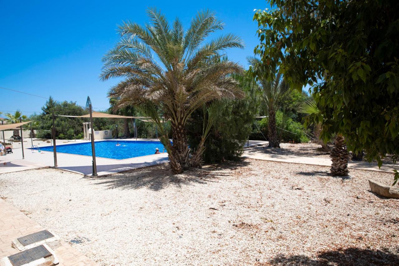 Marcelia Napa Suites Ayia Napa Exteriér fotografie